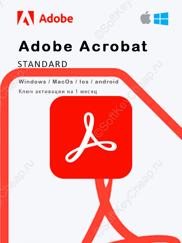Adobe Acrobat Standard — ключ на 1 месяц